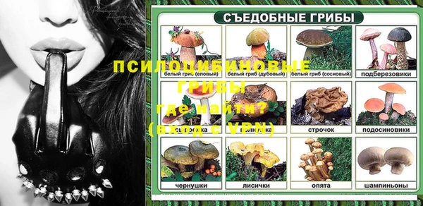 прущие грибы Арсеньев