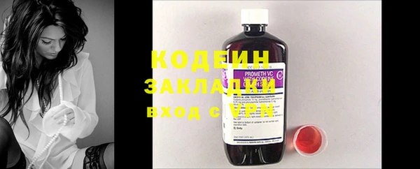 прущие грибы Арсеньев