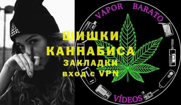прущие грибы Арсеньев