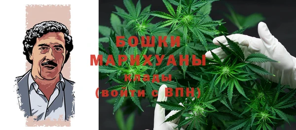 прущие грибы Арсеньев