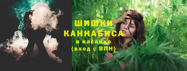прущие грибы Арсеньев